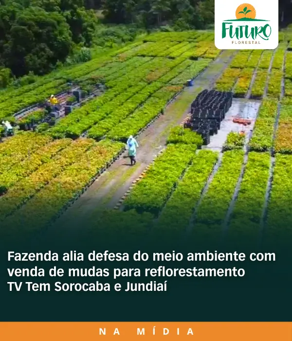 TV Tem